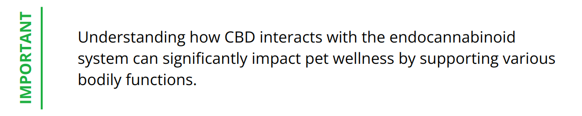 Important - Understanding how CBD interacts with the endocannabinoid system can significantly impact pet wellness by supporting various bodily functions.