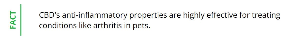 Fact - CBD's anti-inflammatory properties are highly effective for treating conditions like arthritis in pets.