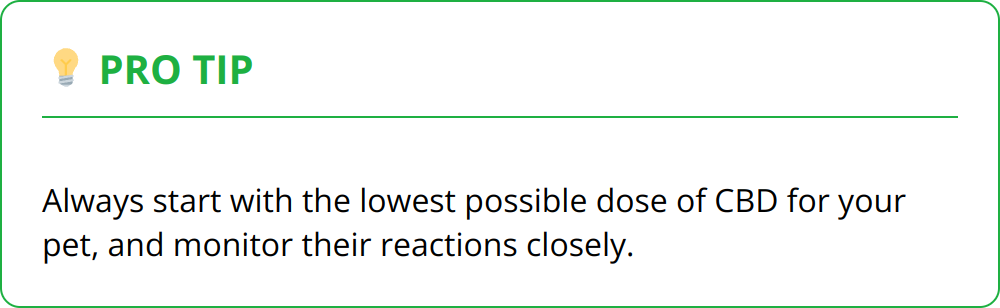 Pro Tip - Always start with the lowest possible dose of CBD for your pet, and monitor their reactions closely.