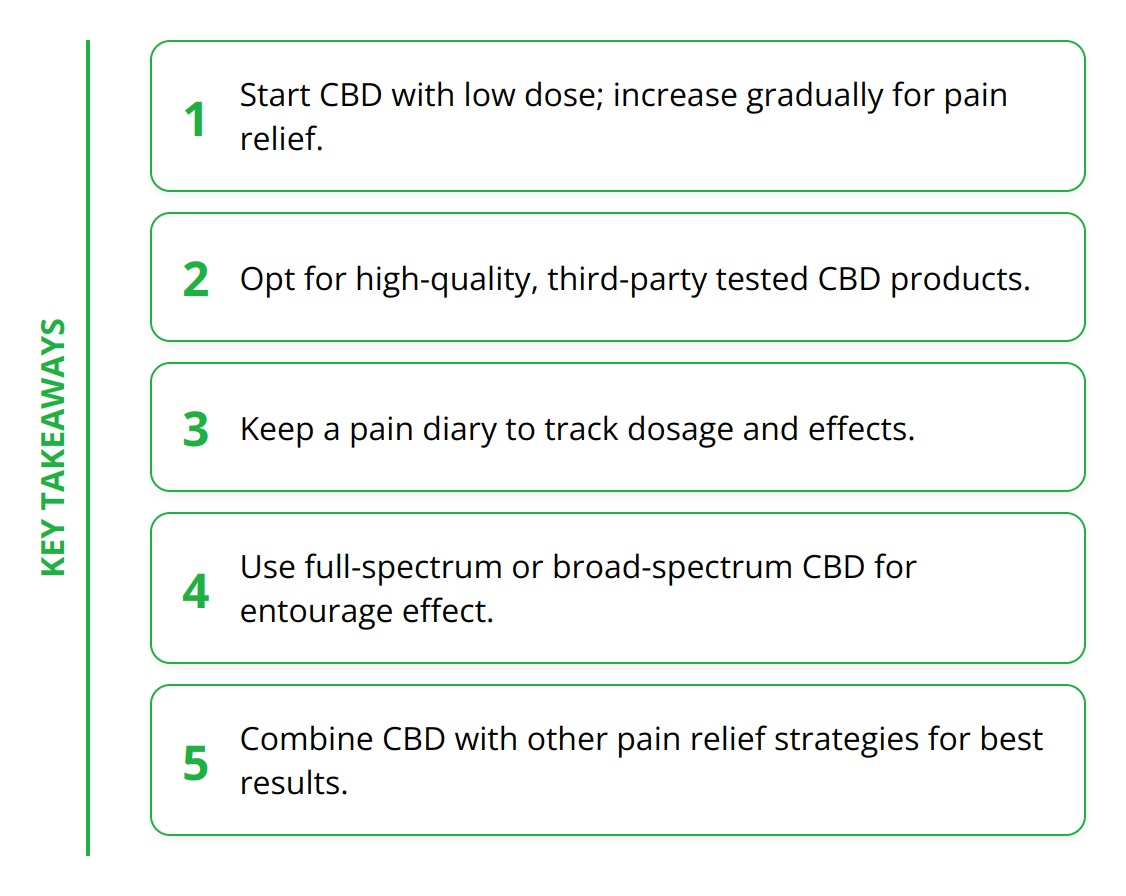 Key Takeaways - How to Use CBD for Chronic Pain Relief